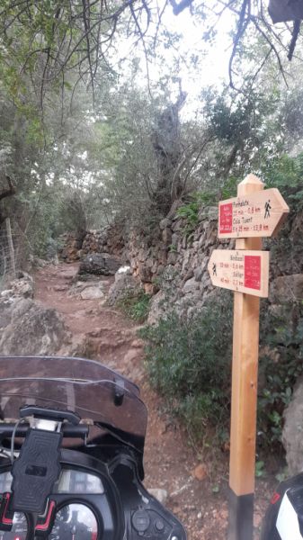 Wandern partner/in gesucht