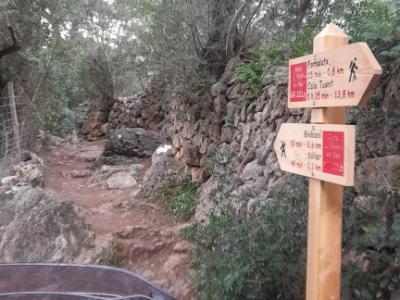 Wandern partner/in gesucht