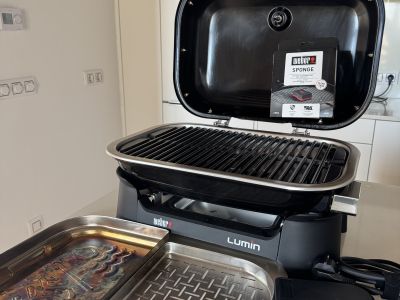 Weber barbacoa eléctrica