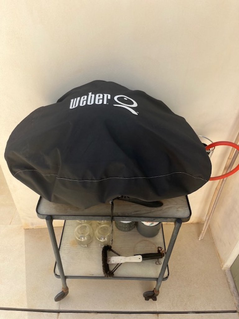 Weber Gasgrill