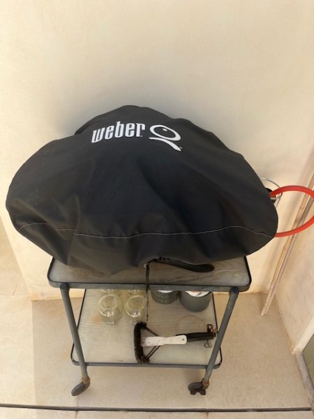 Weber Gas Grill