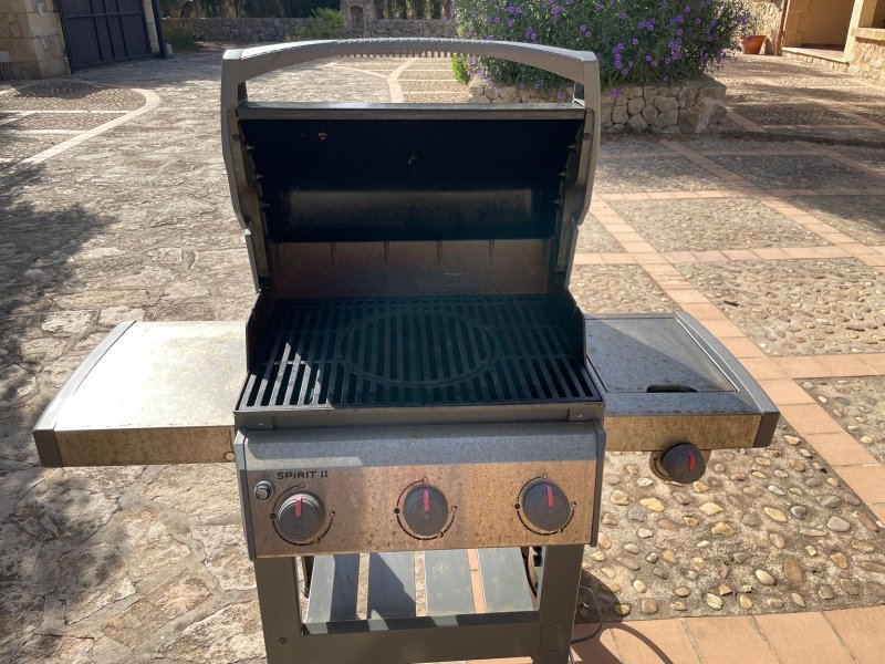 Weber Gasgrill SPIRIT II
