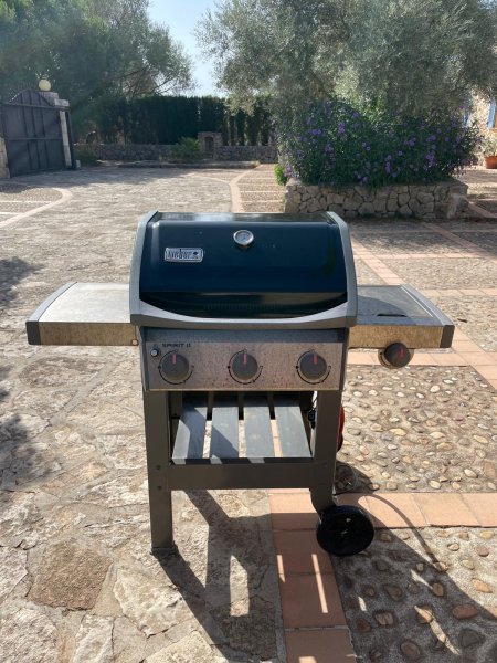 Weber Gasgrill SPIRIT II