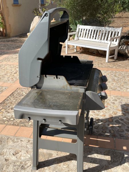 Weber Gasgrill SPIRIT II