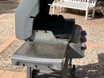 Weber Gasgrill SPIRIT II