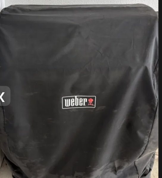 Weber Genesis Gasgrill