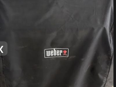 Weber Genesis Gasgrill