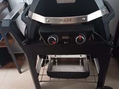 Weber Pulse 2000 mit Rollwagen