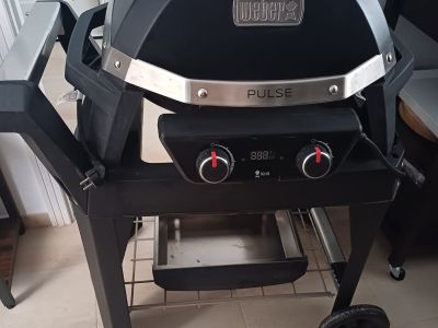 Weber Pulse 2000 mit Rollwagen
