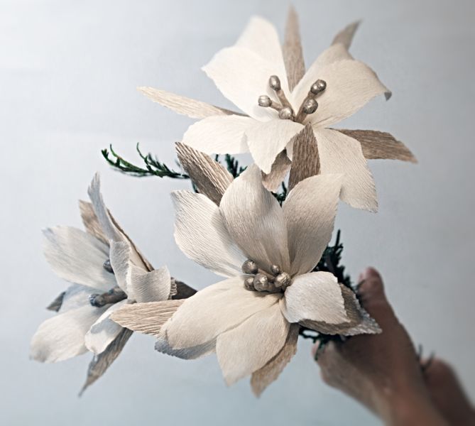 Weihnachts-Poinsettie