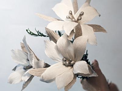 Weihnachts-Poinsettie