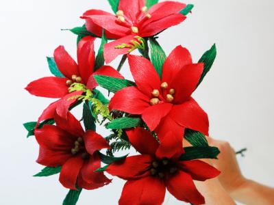 Weihnachts-Poinsettie