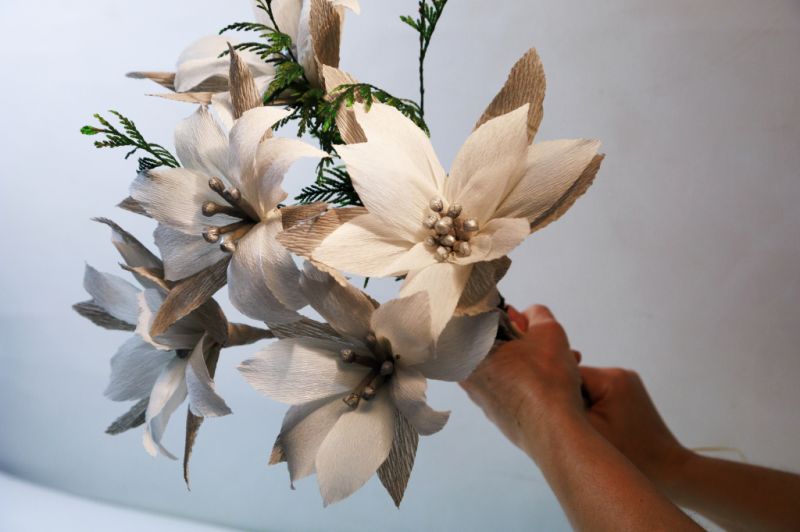 Weihnachts-Poinsettie