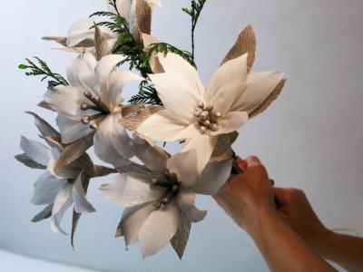 Weihnachts-Poinsettie