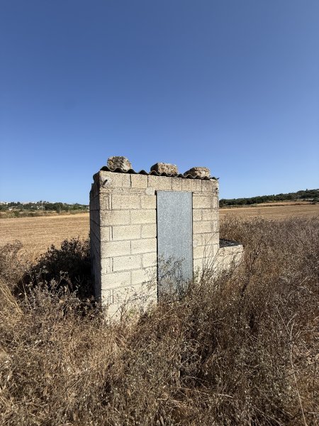 Viñedo en Santa Margalida - aprox. 10.000 m²
