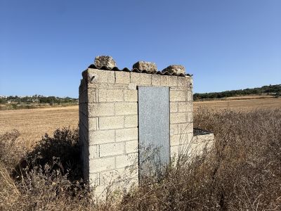 Viñedo en Santa Margalida - aprox. 10.000 m²