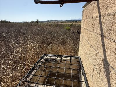Viñedo en Santa Margalida - aprox. 10.000 m²