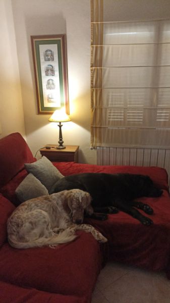 WG Zimmer in Haus mit wunderschöner Lage am Ortsrand von Campanet/Mallorca