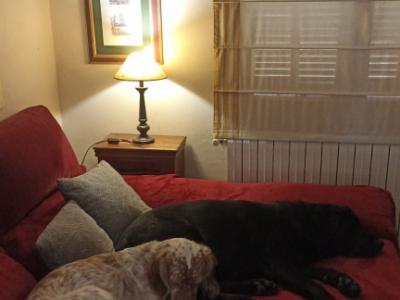 WG Zimmer in Haus mit wunderschöner Lage am Ortsrand von Campanet/Mallorca