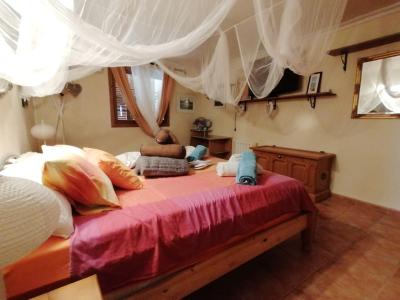 Winter 26 / 27: Apartment auf dem Lande mit AC, Terrassen bei Cas Concos -- FAP 39 WT