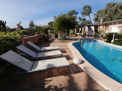 Winter 26 / 27: Apartment auf dem Lande mit AC, Terrassen bei Cas Concos -- FAP 39 WT