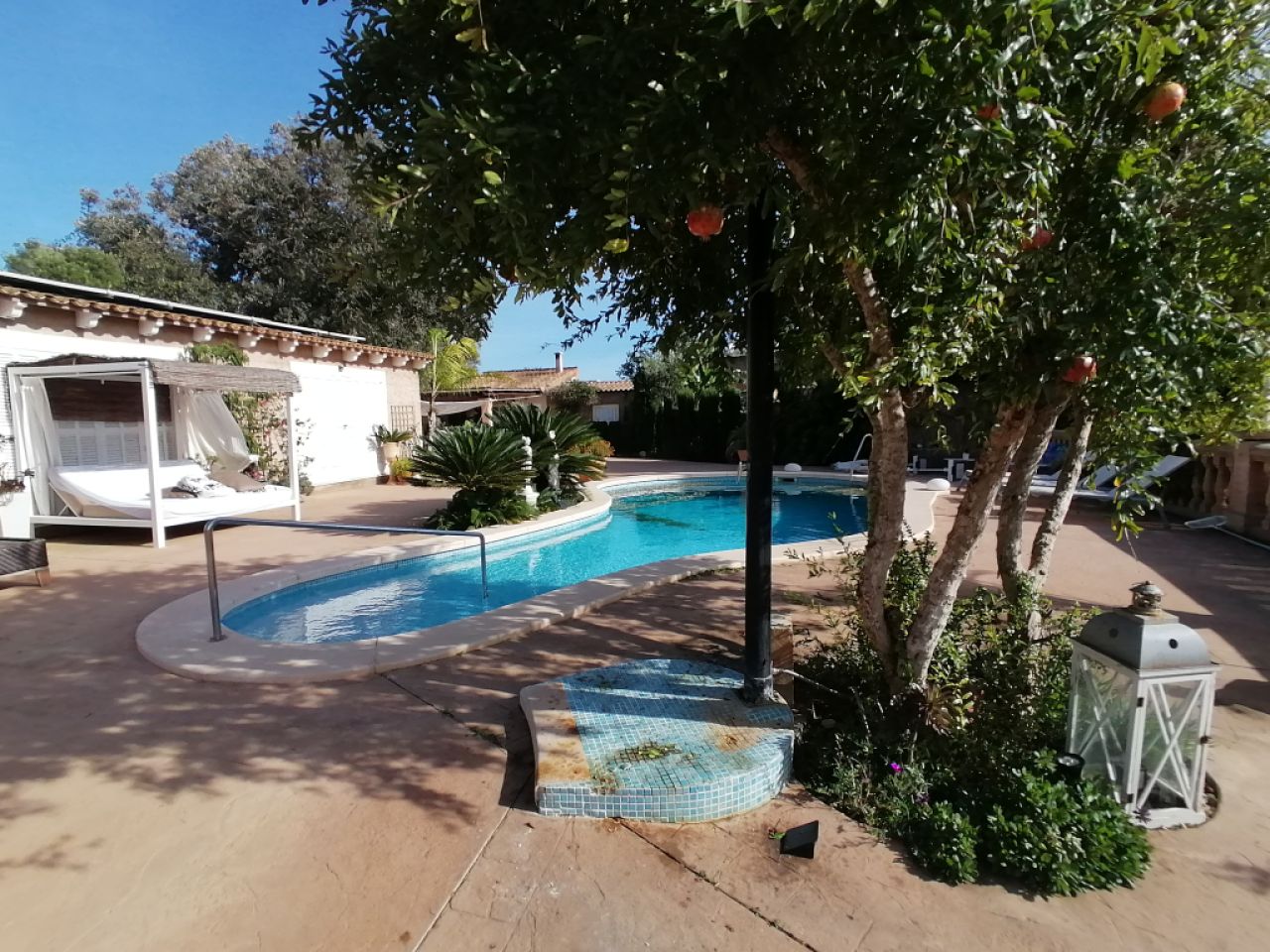 Winter 26 / 27: Apartment auf dem Lande mit AC und Kamin in ruhiger Lage bei Cas Concos -- FAP 39 wT