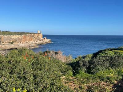 WINTER: Chalet in 1. Küstenlinie mit Garten, AC, Kamin und Meerblick pur -- Cala Figuera -- CH 48 WT