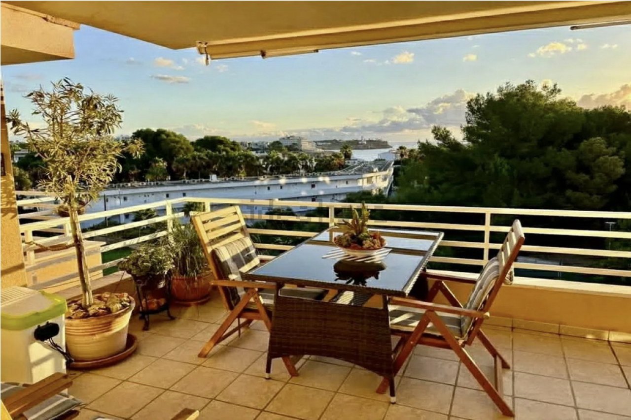 Winter: Helles Apartment mit Terrassen, Pool in Küstennähe von Porto Colom - AP 18 WT