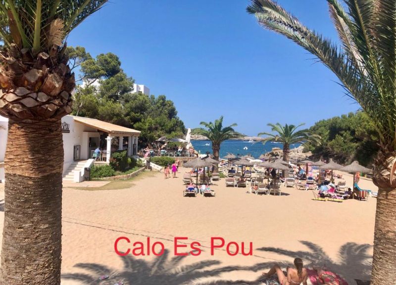 INVIERNO: Confortable apartamento en 1ª planta Piso con amplia terraza en Cala Dor --- AP 133 WT