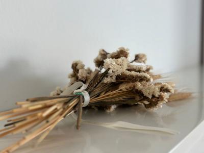 Winter: Modern apartment with partial sea view and AC in Can Picafort -- AP 15 WT