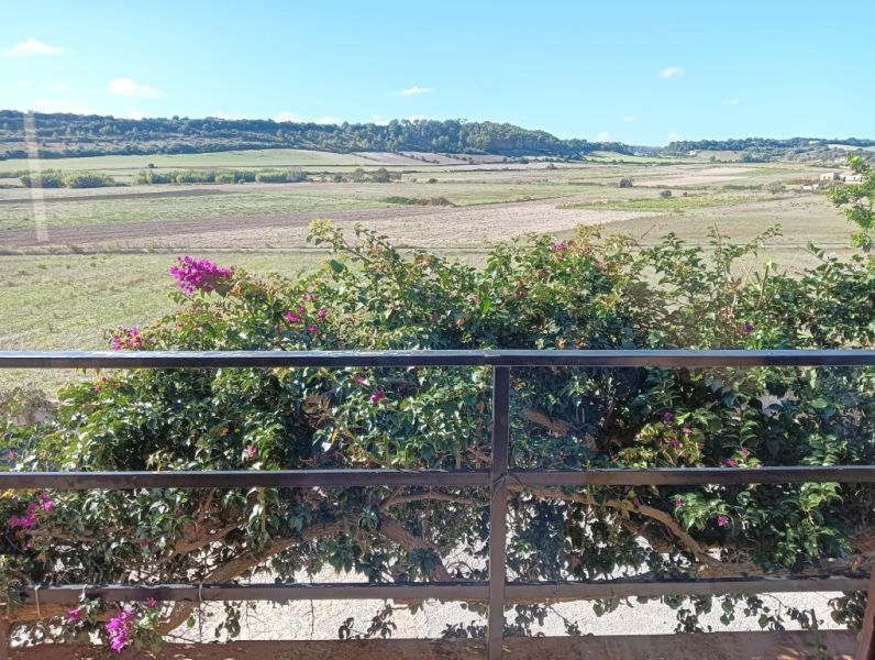 WINTER 27/28: Charming Finca with Beautiful Garden and Heating near Sant Llorenç