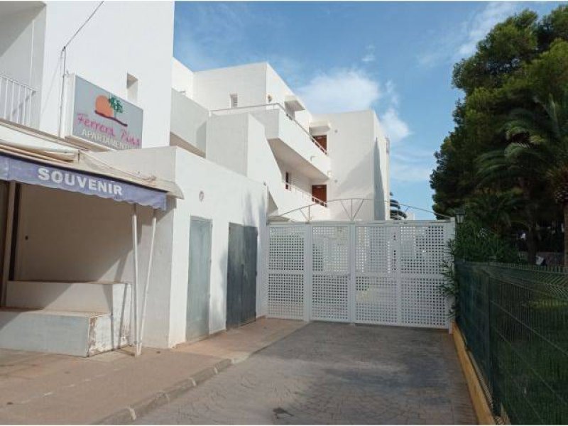 Wintermiete: Kleines Studio an der Bucht von Cala Ferrera- Cala Dor-- AP 10 WT