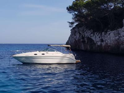 PRECIO DE INVIERNO: Embarcación a motor Sea Ray 260 Sundancer con amarre hasta marzo