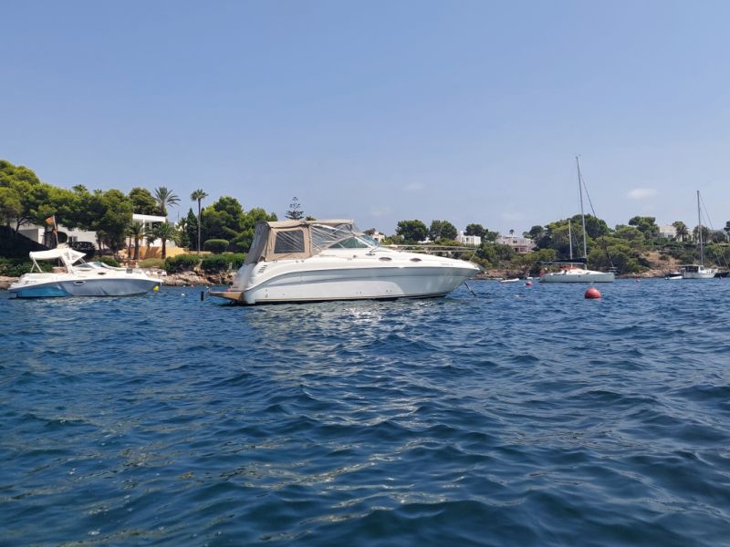 PRECIO DE INVIERNO: Embarcación a motor Sea Ray 260 Sundancer con amarre hasta marzo