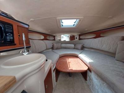 PRECIO DE INVIERNO: Embarcación a motor Sea Ray 260 Sundancer con amarre hasta marzo