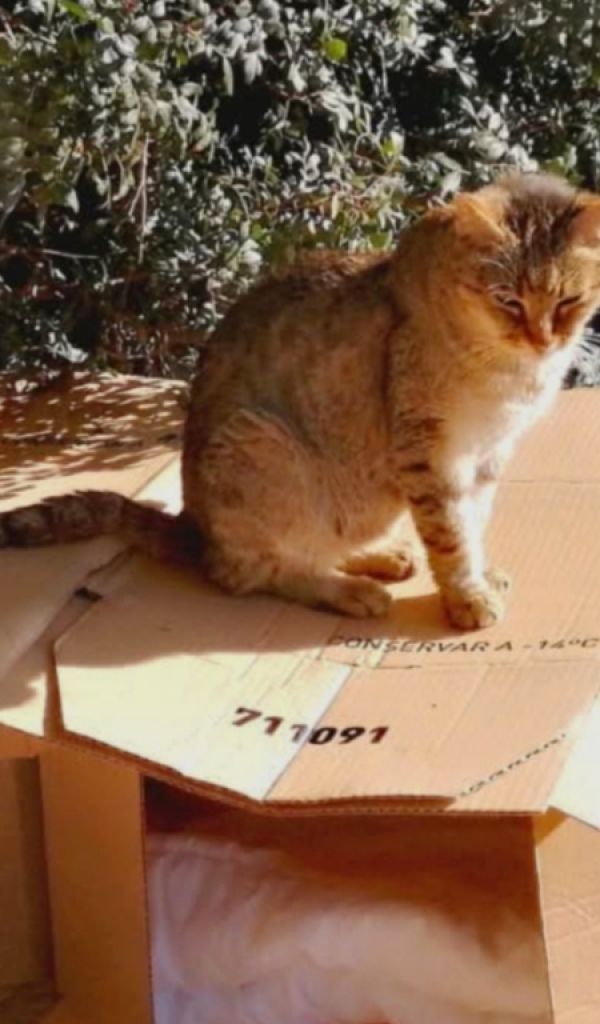 Wir haben H U N G E R