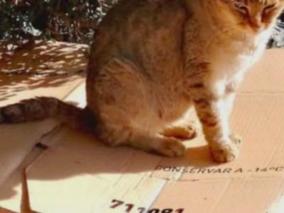 Wir haben H U N G E R