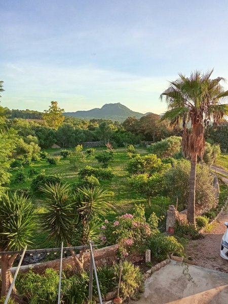 Apartment in the Countryside for Rent