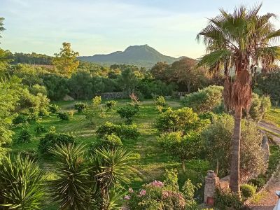 Apartment in the Countryside for Rent