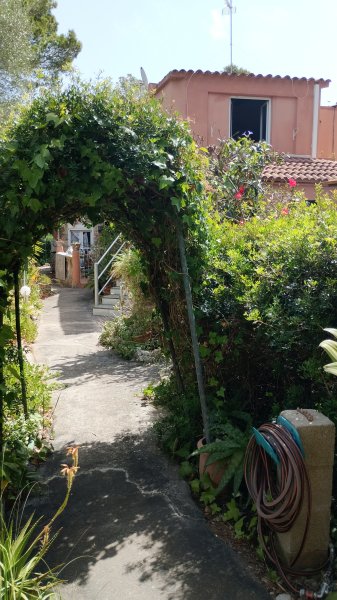 Wohnung in ruhiger Lage in Cala Murada ab sofort verfügbar