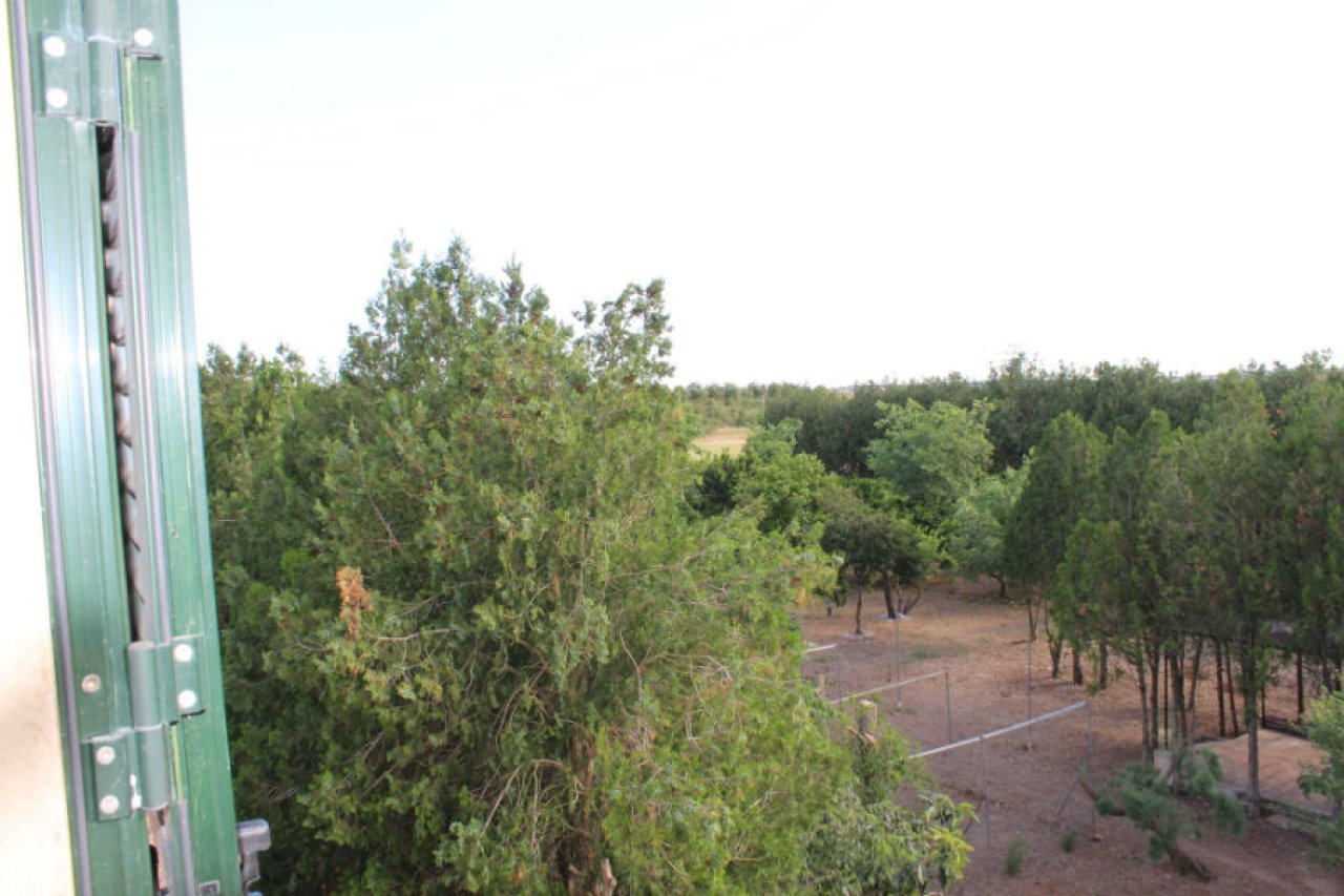 Wunderschöne ländliche Finca zur Miete in Manacor