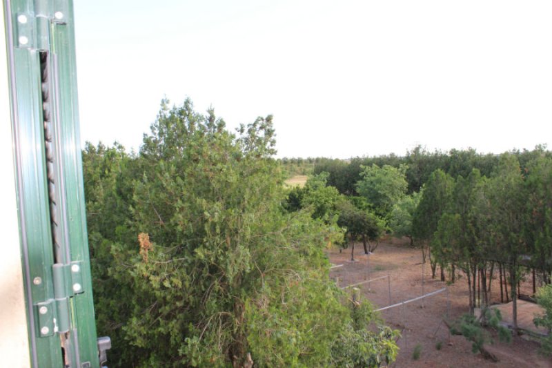 Wunderschöne ländliche Finca zur Miete in Manacor