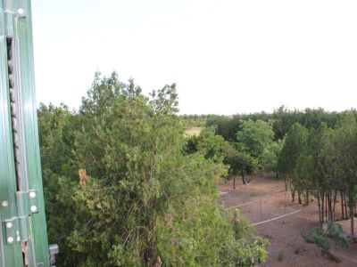 Wunderschöne ländliche Finca zur Miete in Manacor