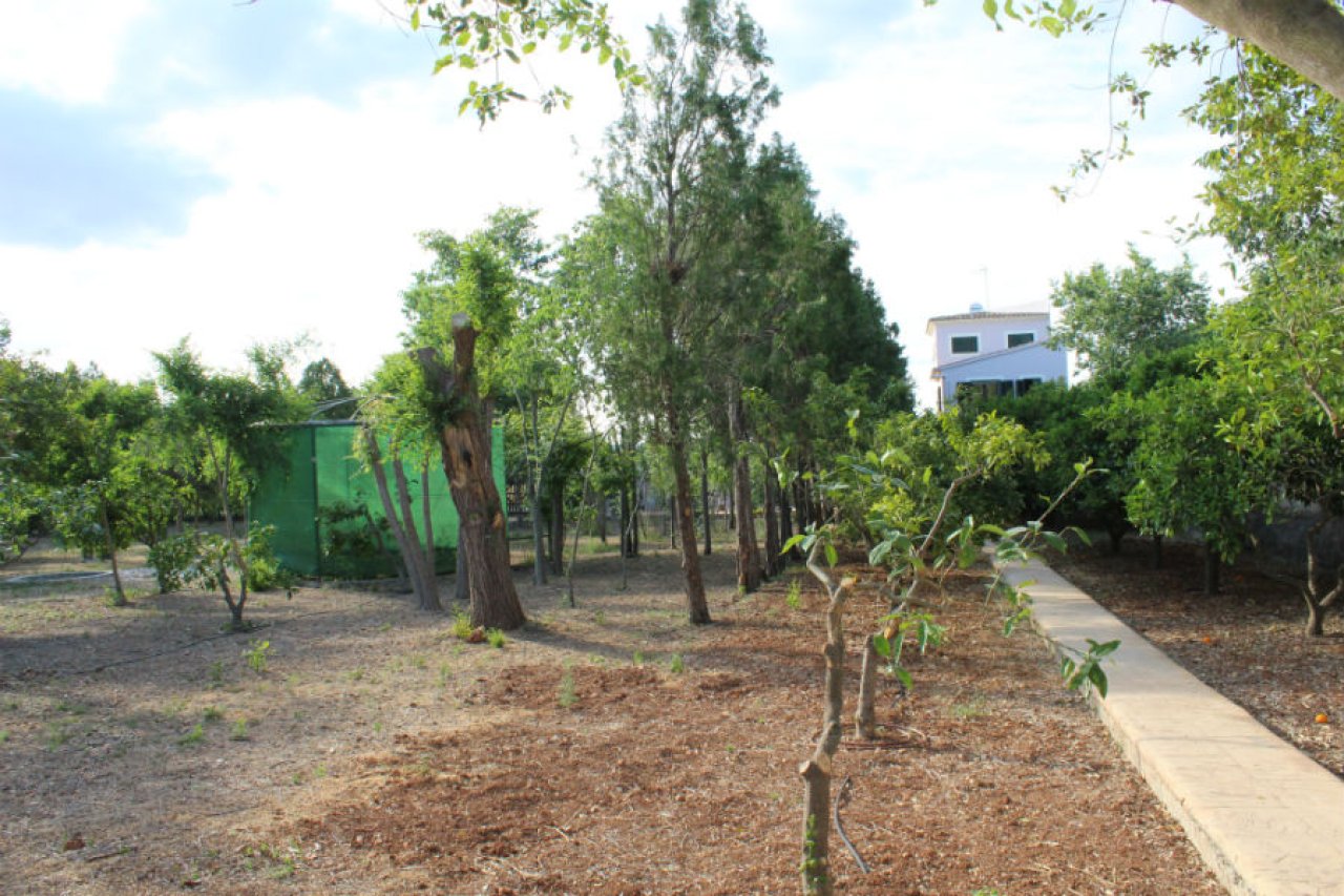 Wunderschöne ländliche Finca zur Miete in Manacor