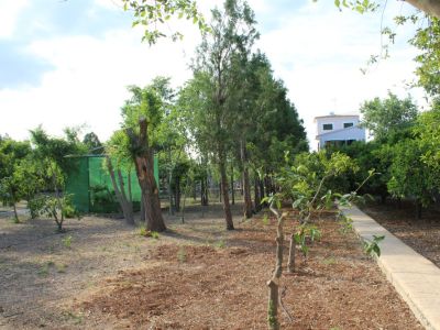 Wunderschöne ländliche Finca zur Miete in Manacor