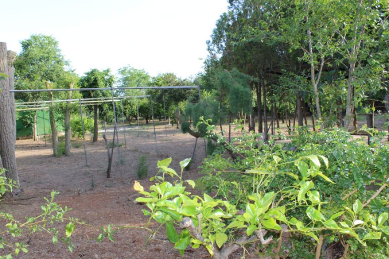 Wunderschöne ländliche Finca zur Miete in Manacor