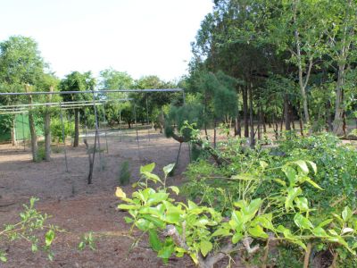 Wunderschöne ländliche Finca zur Miete in Manacor