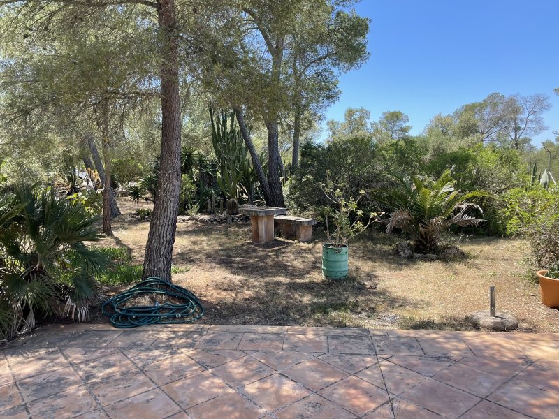 Hermosa casa de huéspedes disponible ahora para todo el verano