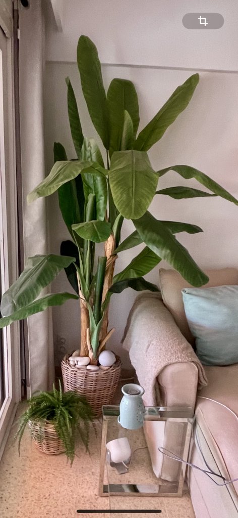 XXL Bananenstaude Bananenbaum sehr realistisch! Sieht aus wie echt