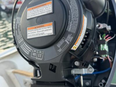 Motor fueraborda Yamaha de 8 CV YAMAHA como 4 tiempos 2016 En perfecto estado con recogida de depósi